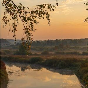 Meet your Posher, Bella